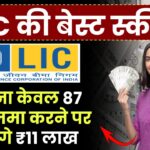 LIC Aadhaar Shila Policy